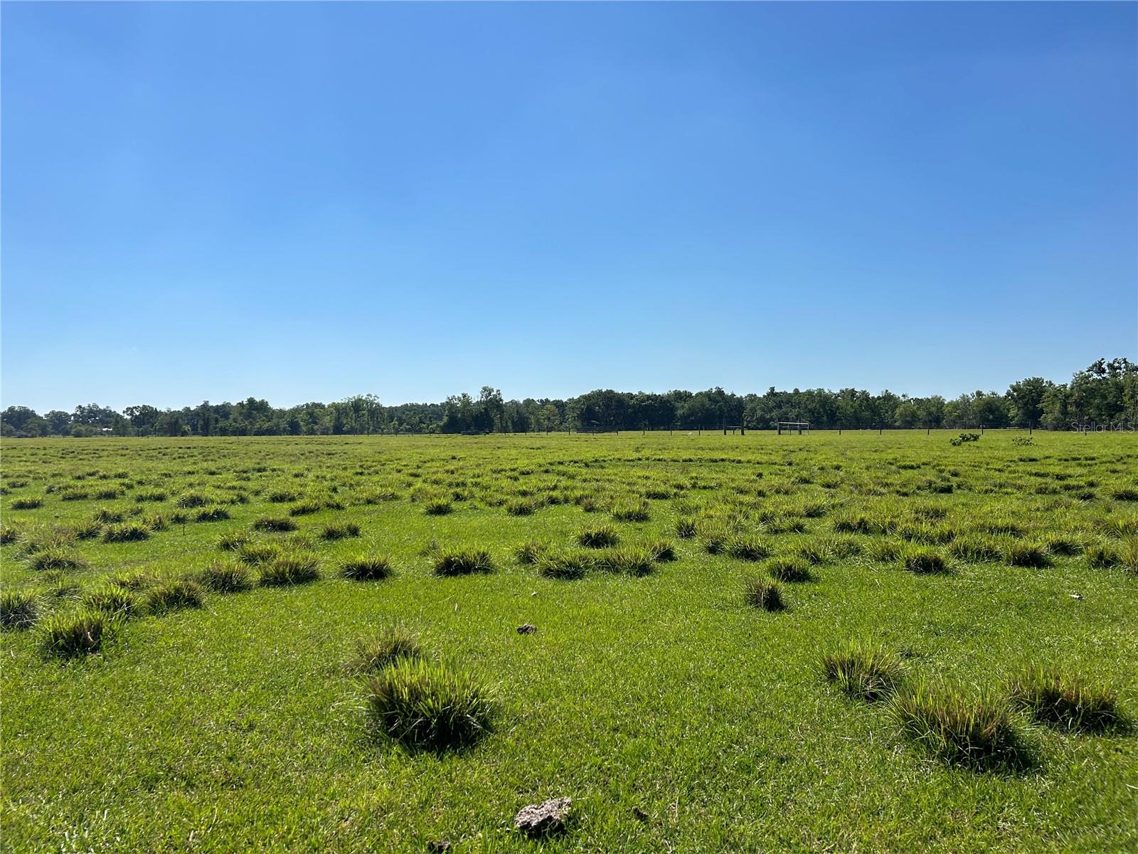 SW HWY 17, ARCADIA, FL — photo 4