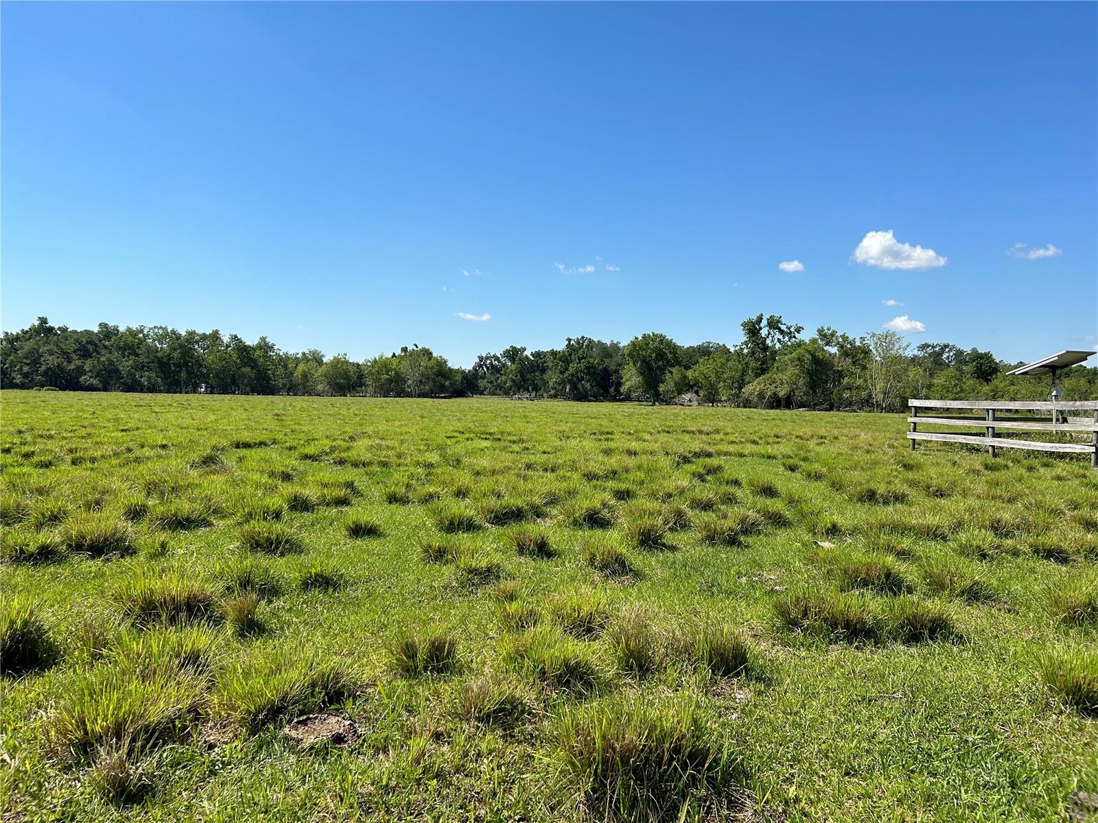 SW HWY 17, ARCADIA, FL — photo 6