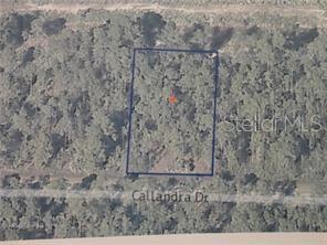 0 CALLIANDRA DR, INDIAN LAKE ESTATES, FL
