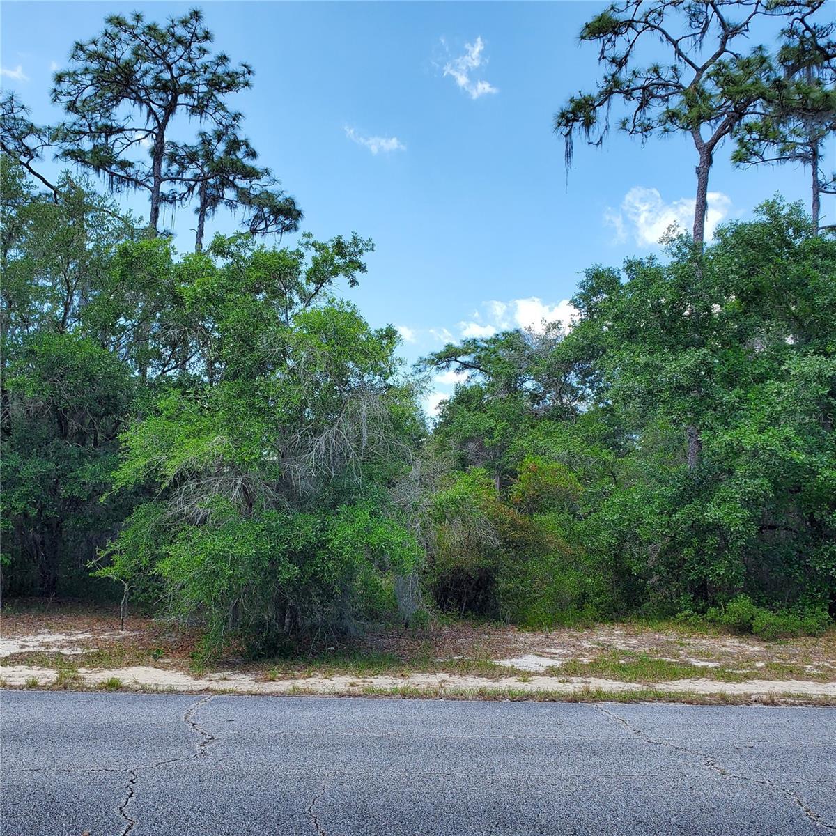 1345 ST AUGUSTINE CT, KISSIMMEE, FL