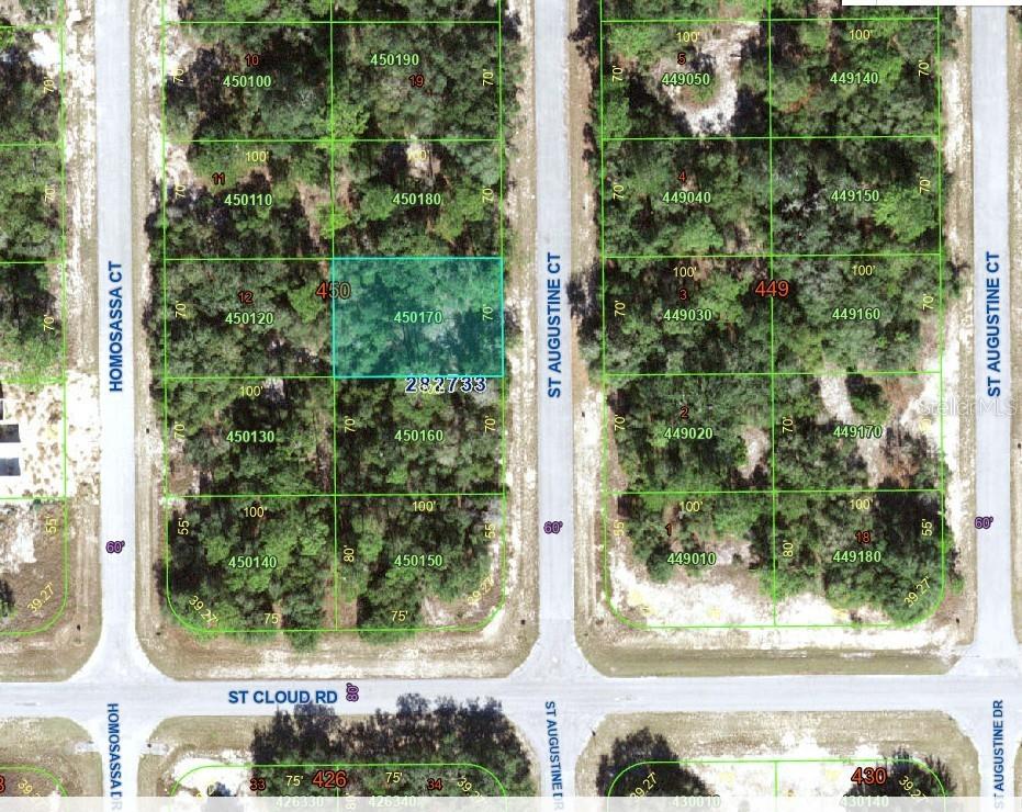 1345 ST AUGUSTINE CT, KISSIMMEE, FL — photo 4