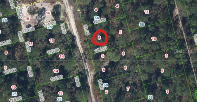 213 IMAGINATION DR, LAKE PLACID, FL — photo 2