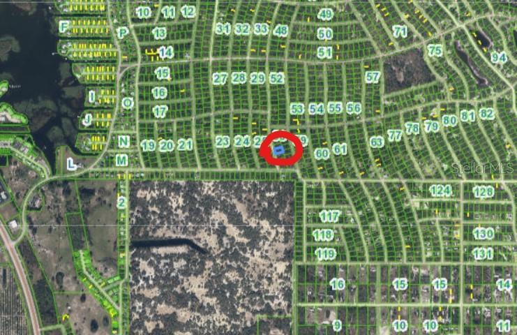 213 IMAGINATION DR, LAKE PLACID, FL — photo 9