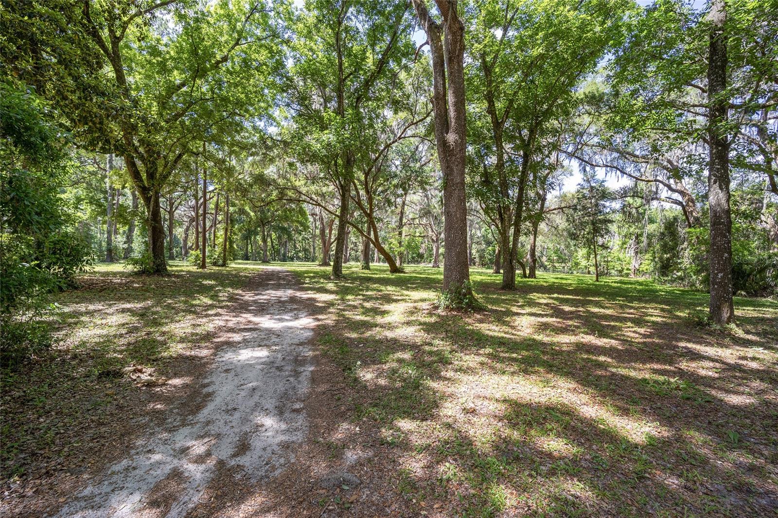 4850 SE 11TH AVE, OCALA, FL — photo 4