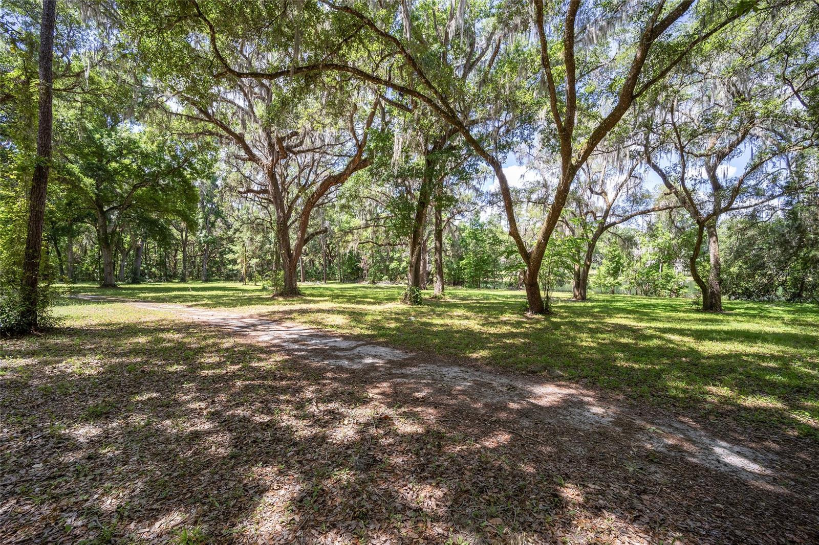 4850 SE 11TH AVE, OCALA, FL — photo 6