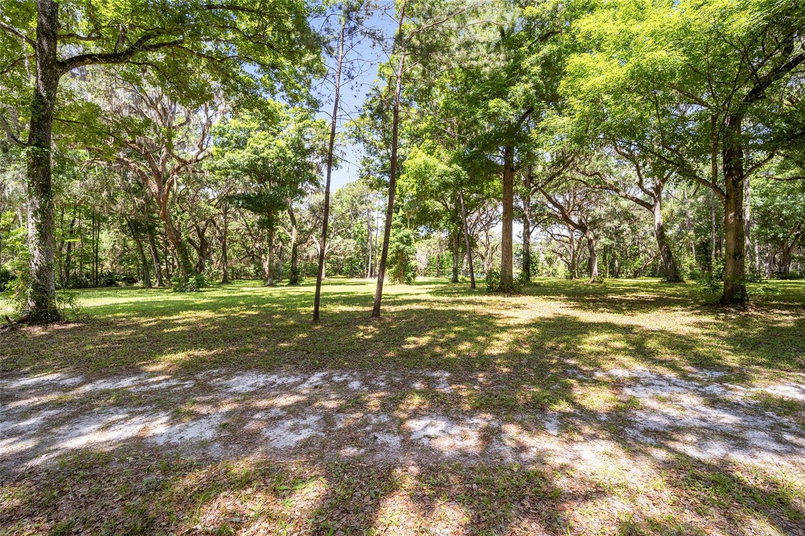 4850 SE 11TH AVE, OCALA, FL — photo 9