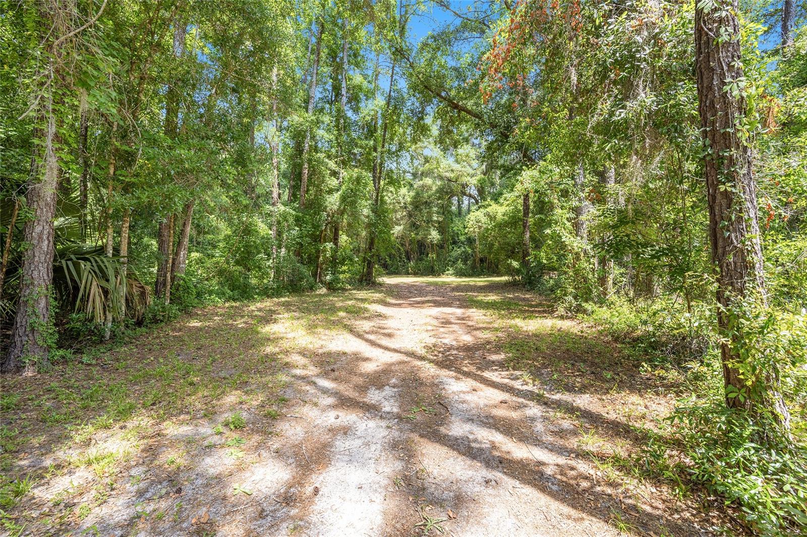 4850 SE 11TH AVE, OCALA, FL — photo 10