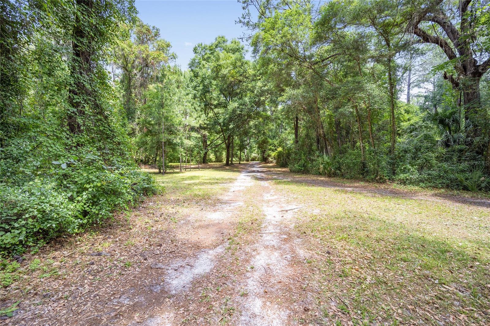 4850 SE 11TH AVE, OCALA, FL — photo 11