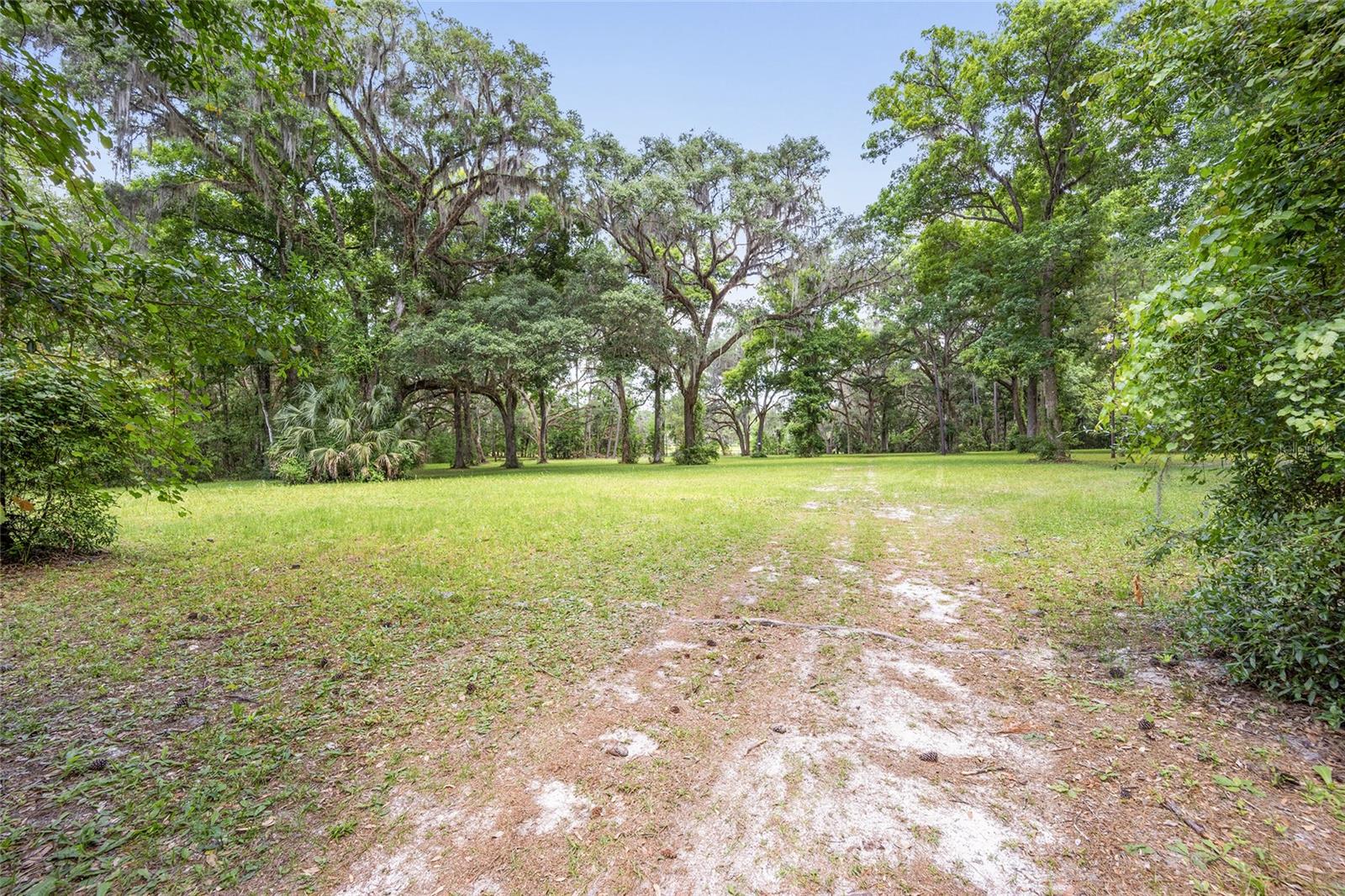 4850 SE 11TH AVE, OCALA, FL — photo 13