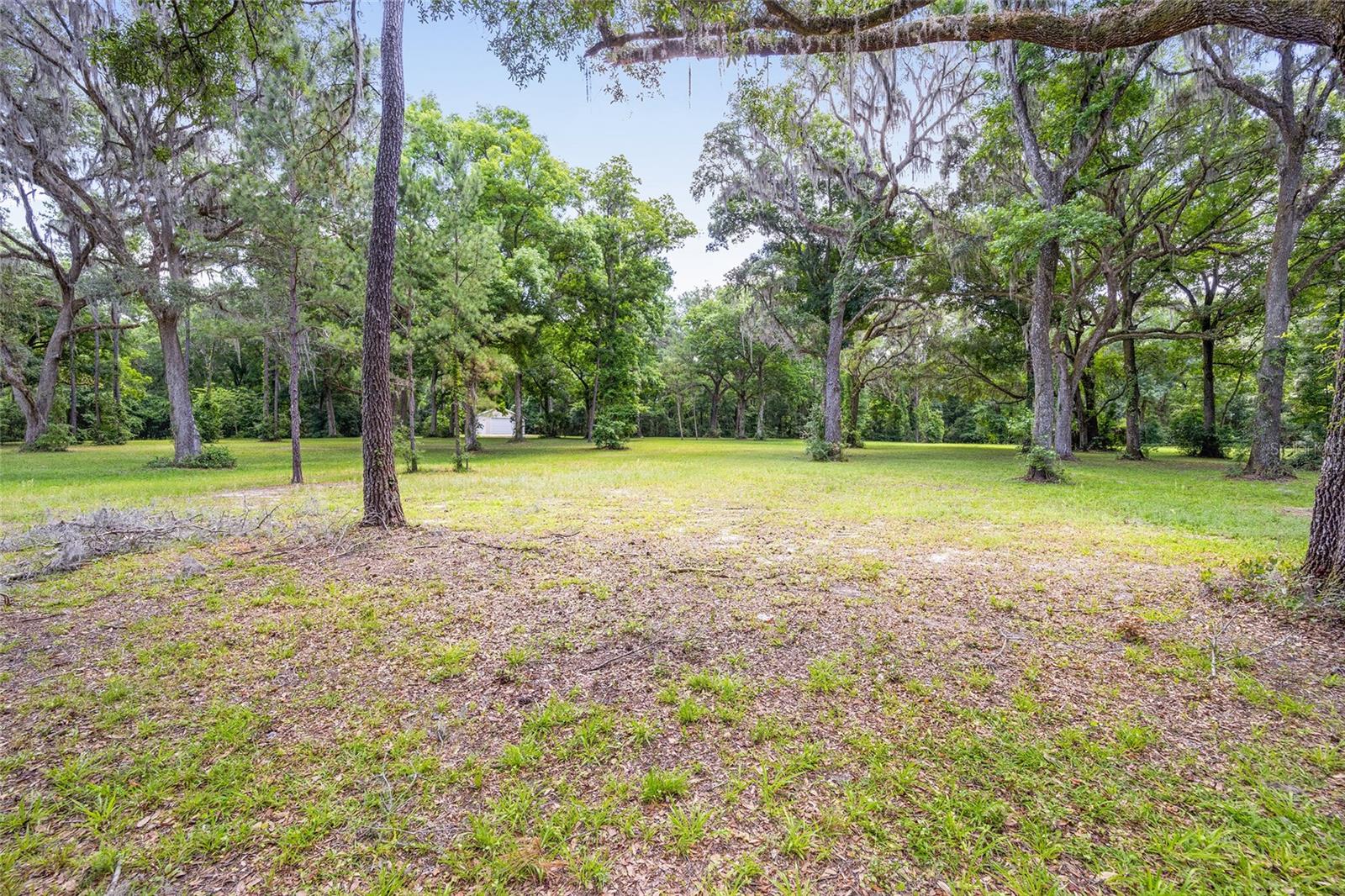4850 SE 11TH AVE, OCALA, FL — photo 15
