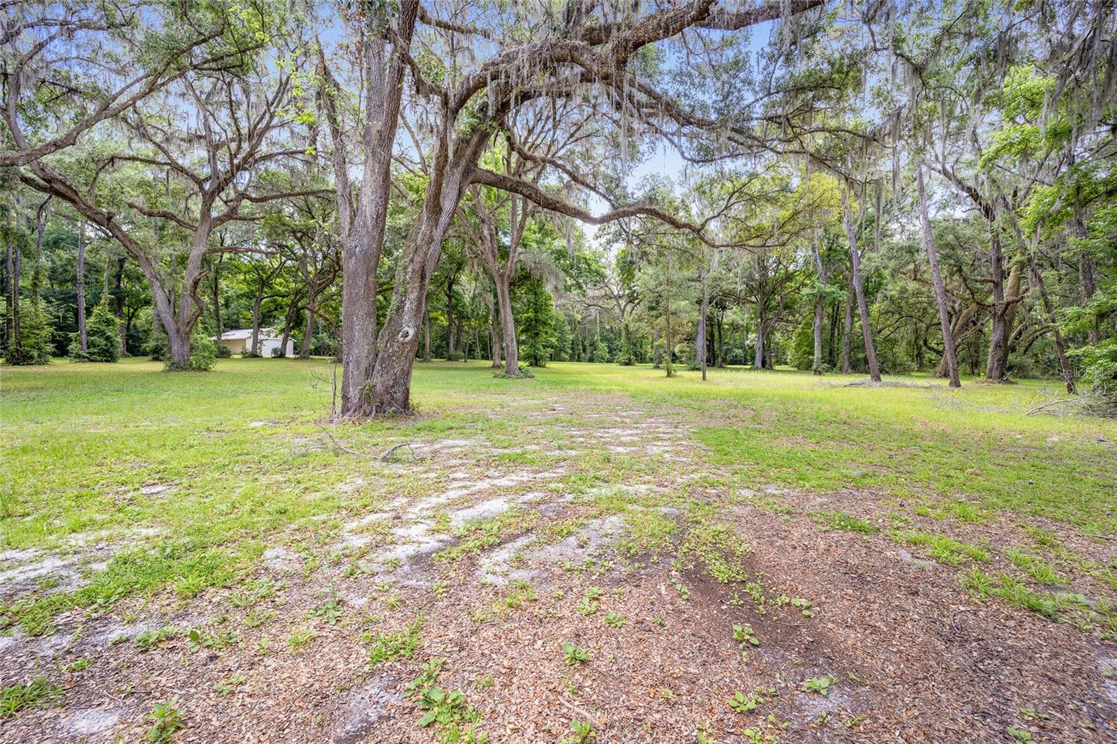 4850 SE 11TH AVE, OCALA, FL — photo 17