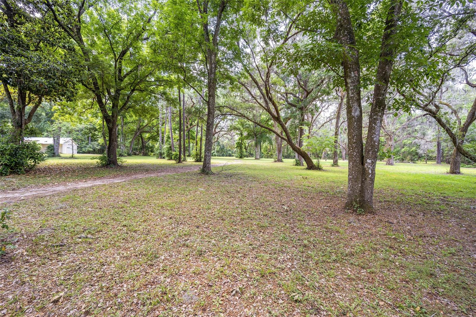 4850 SE 11TH AVE, OCALA, FL — photo 19