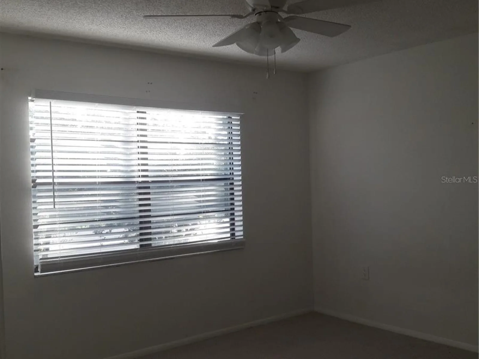 101 LAKE AVE NE #222, LARGO, FL — photo 27