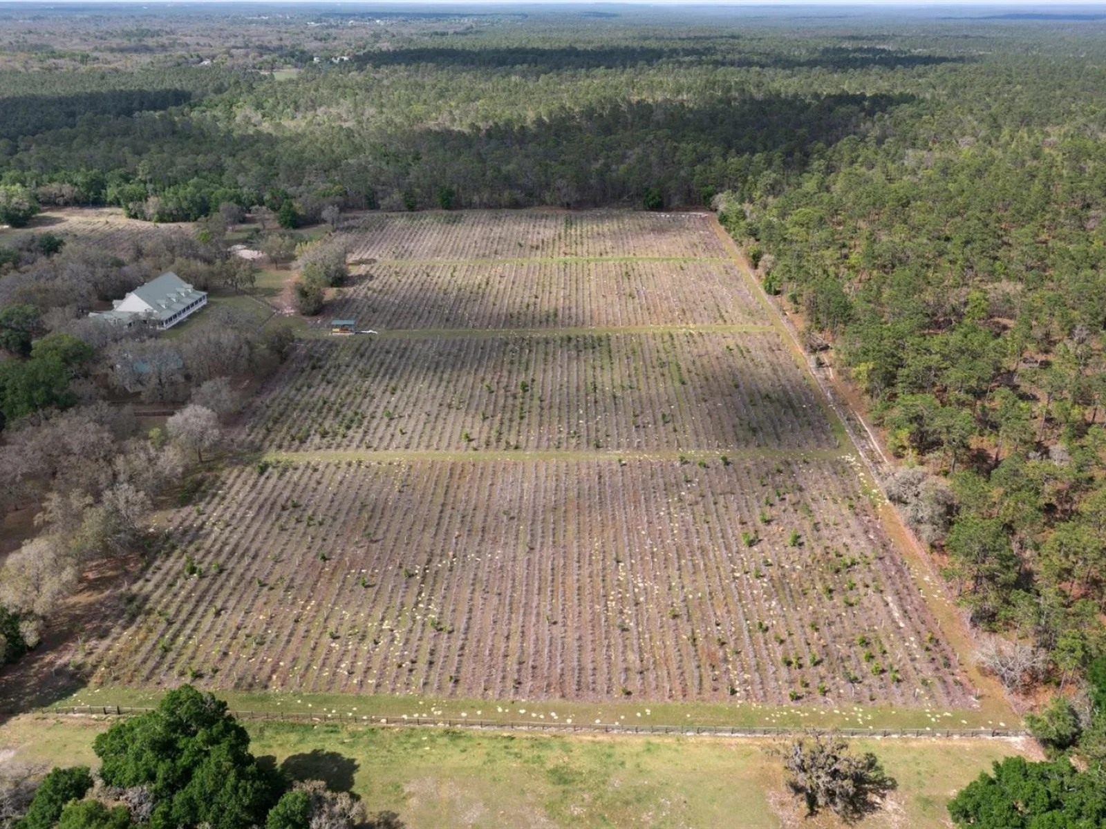 8123 S LECANTO HWY, LECANTO, FL — photo 8