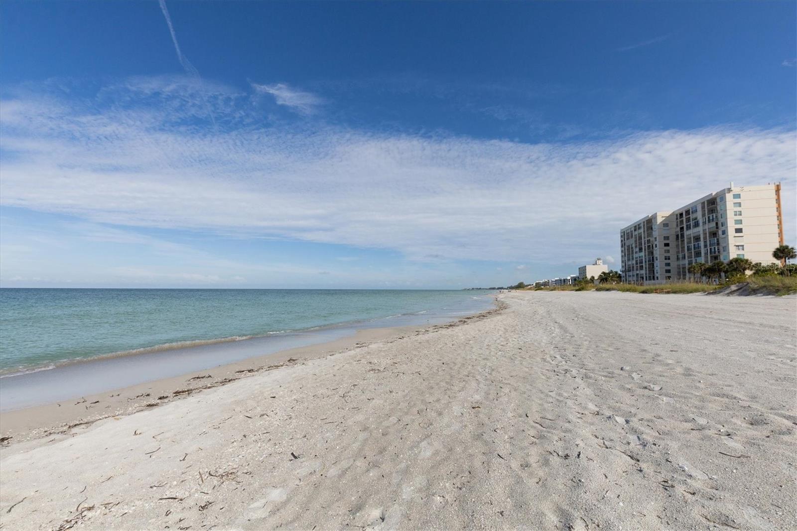 4325 GULF OF MEXICO DR #408, LONGBOAT KEY, FL — photo 39