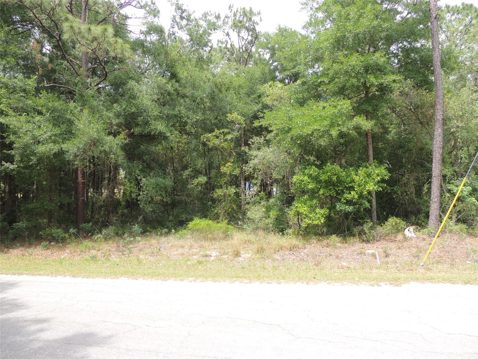 15955 NE 13TH ST, WILLISTON, FL