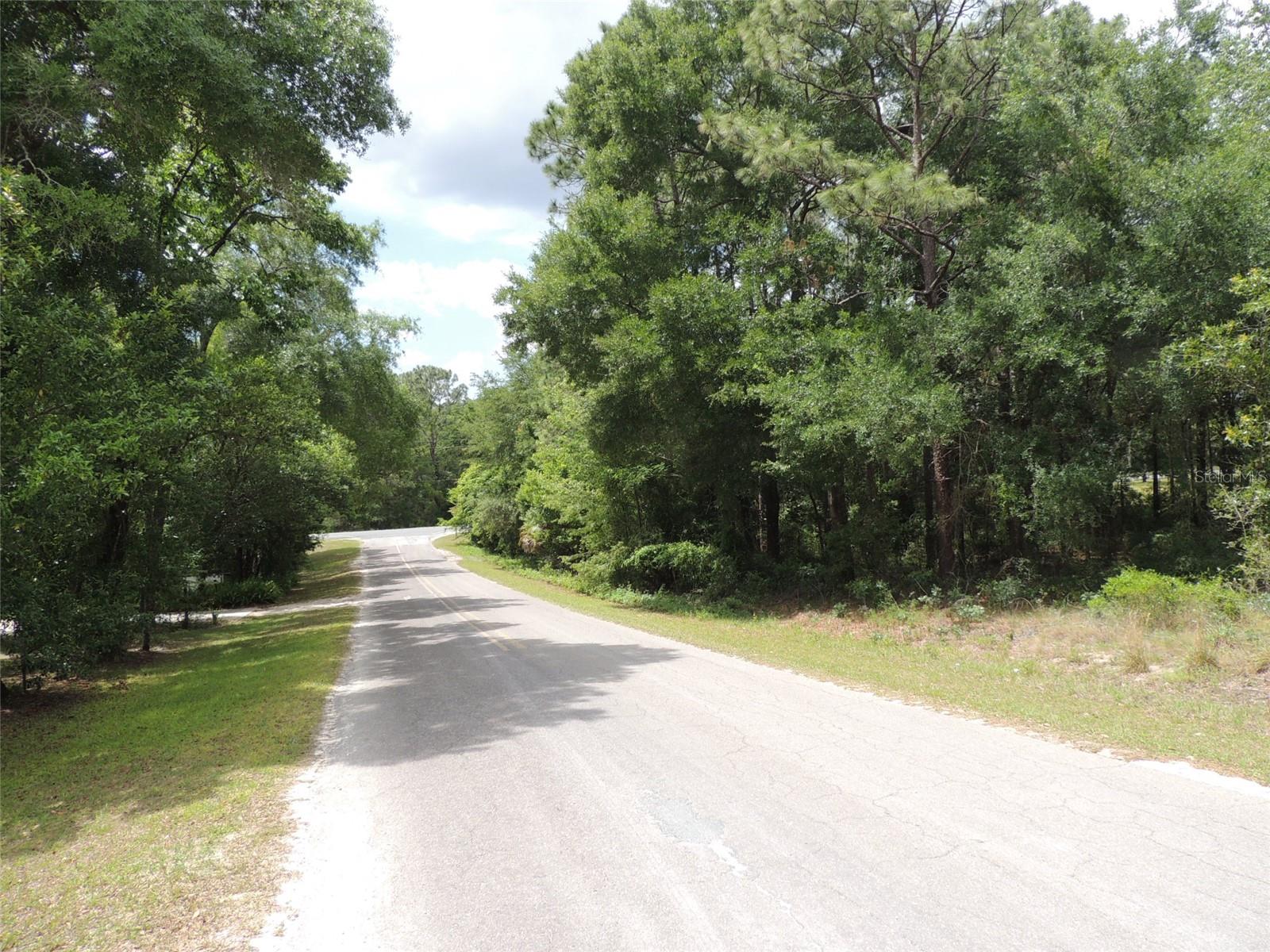 15955 NE 13TH ST, WILLISTON, FL — photo 3