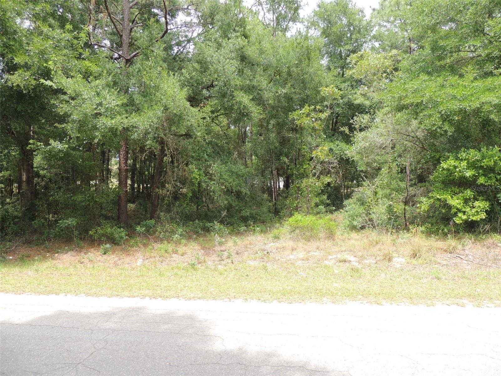 15955 NE 13TH ST, WILLISTON, FL — photo 4