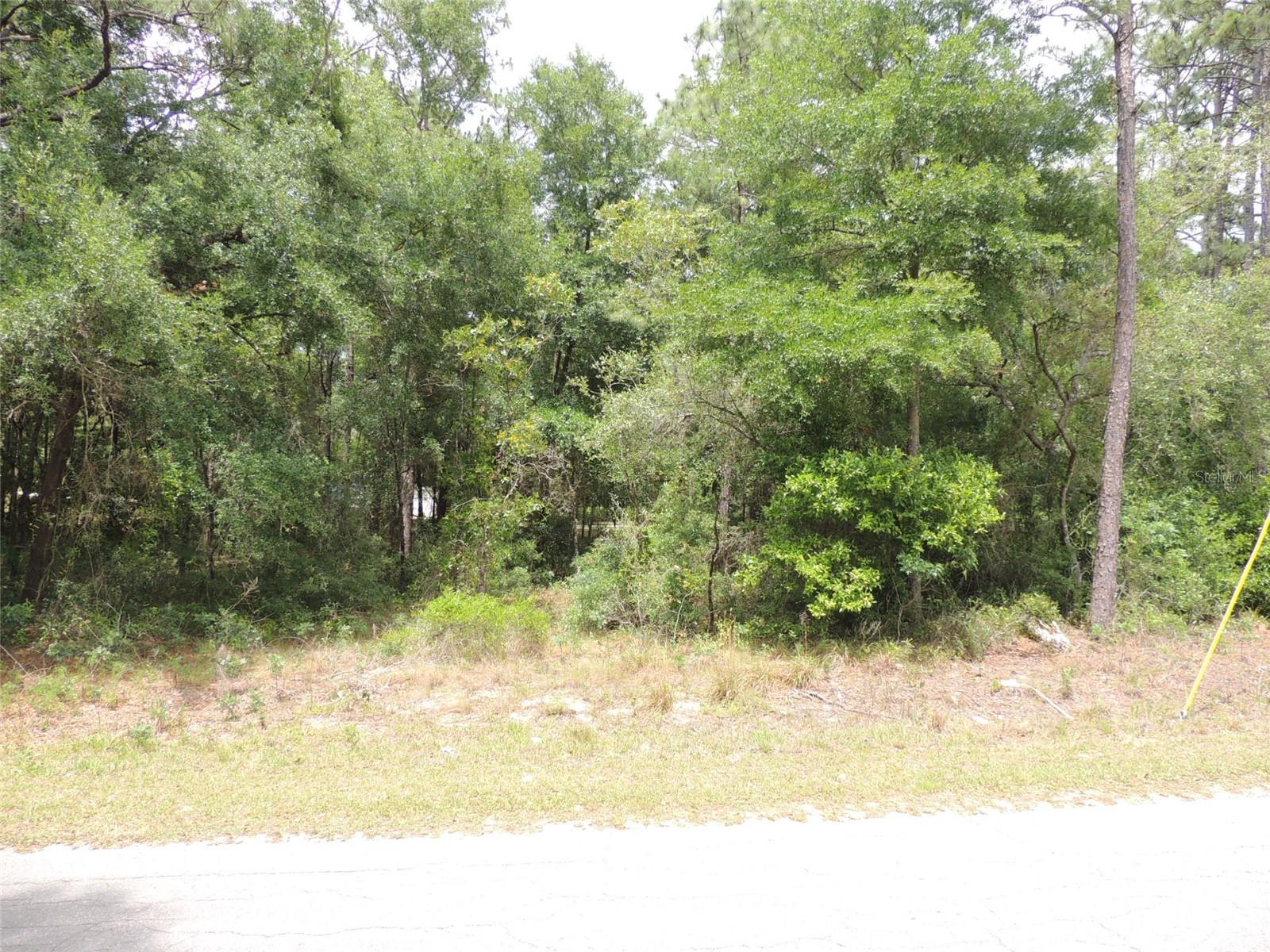 15955 NE 13TH ST, WILLISTON, FL — photo 6