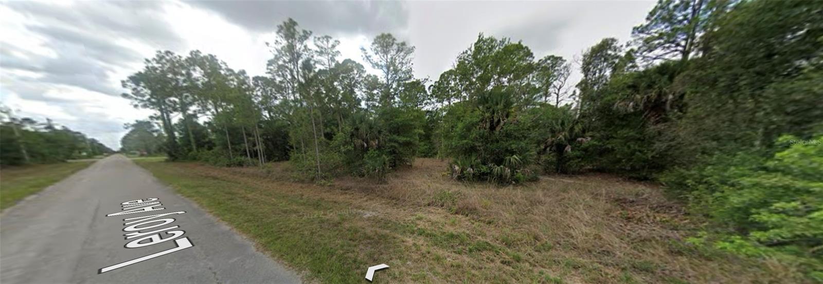 1007 LEROY AVE, LEHIGH ACRES, FL