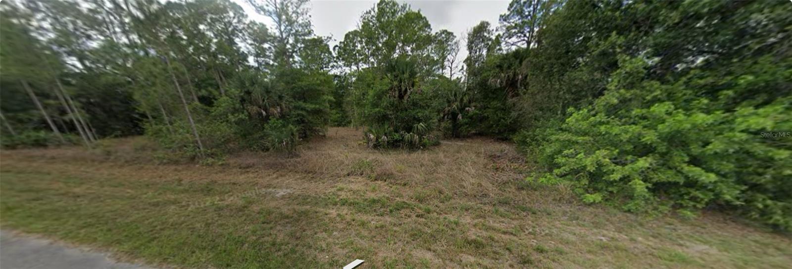 1007 LEROY AVE, LEHIGH ACRES, FL — photo 2