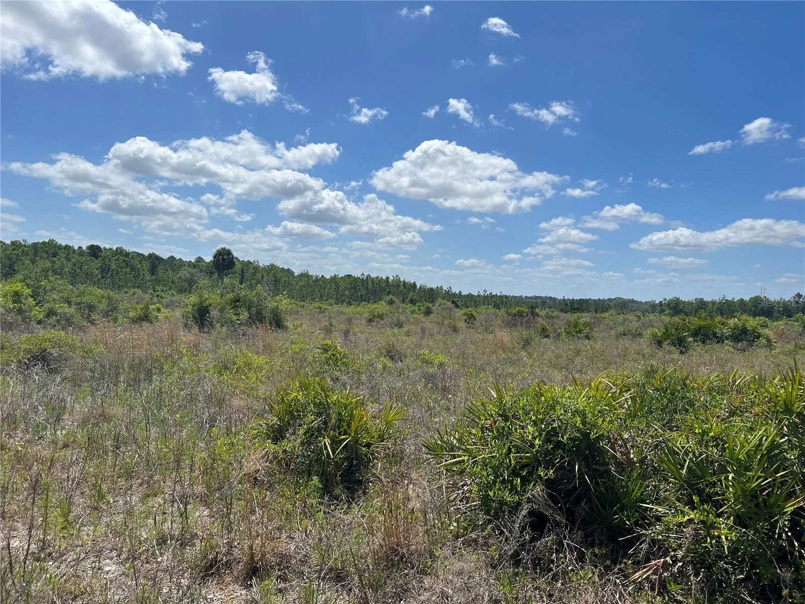 HWY 40, DUNNELLON, FL — photo 1