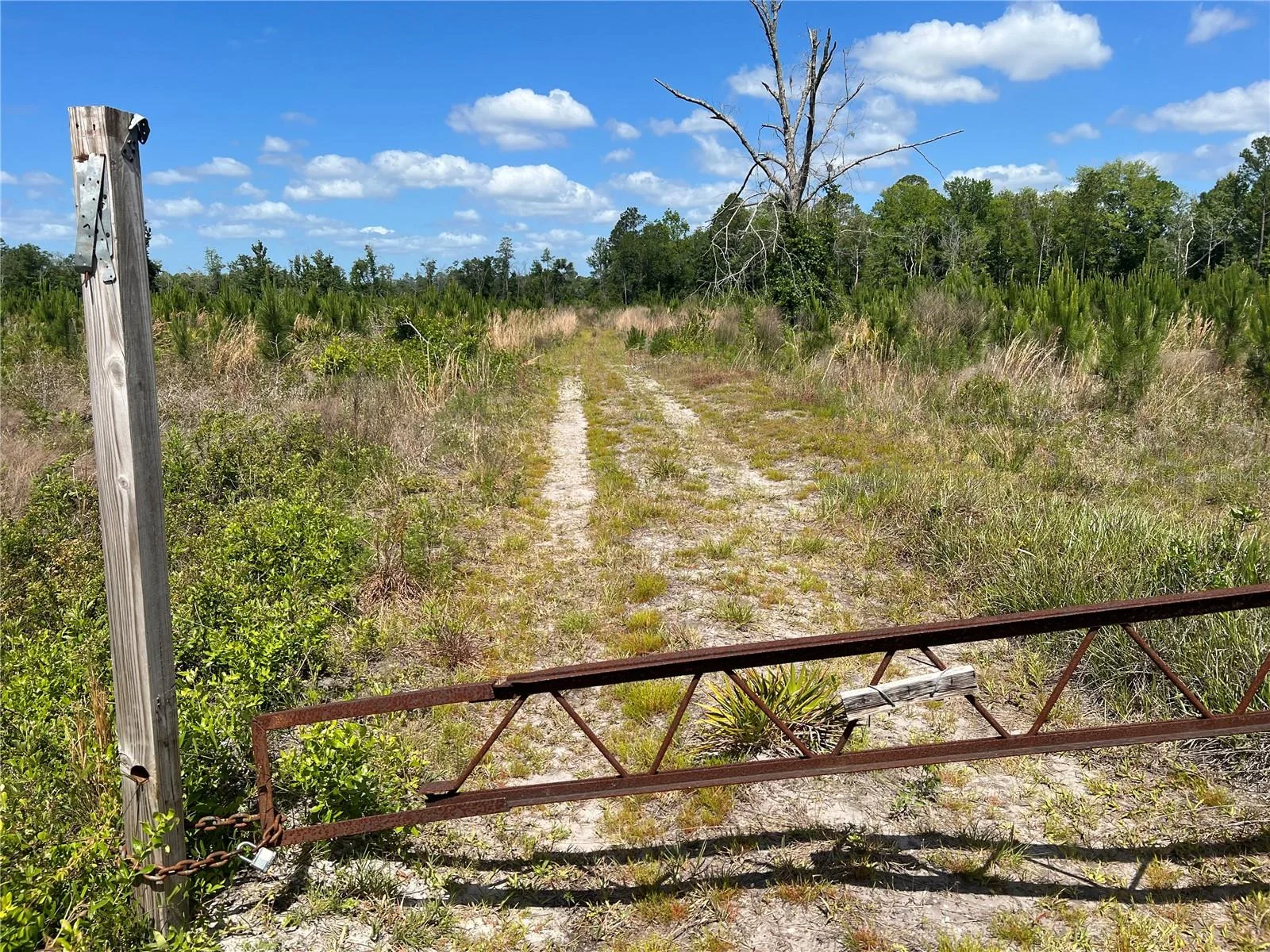 HWY 40, DUNNELLON, FL — photo 2