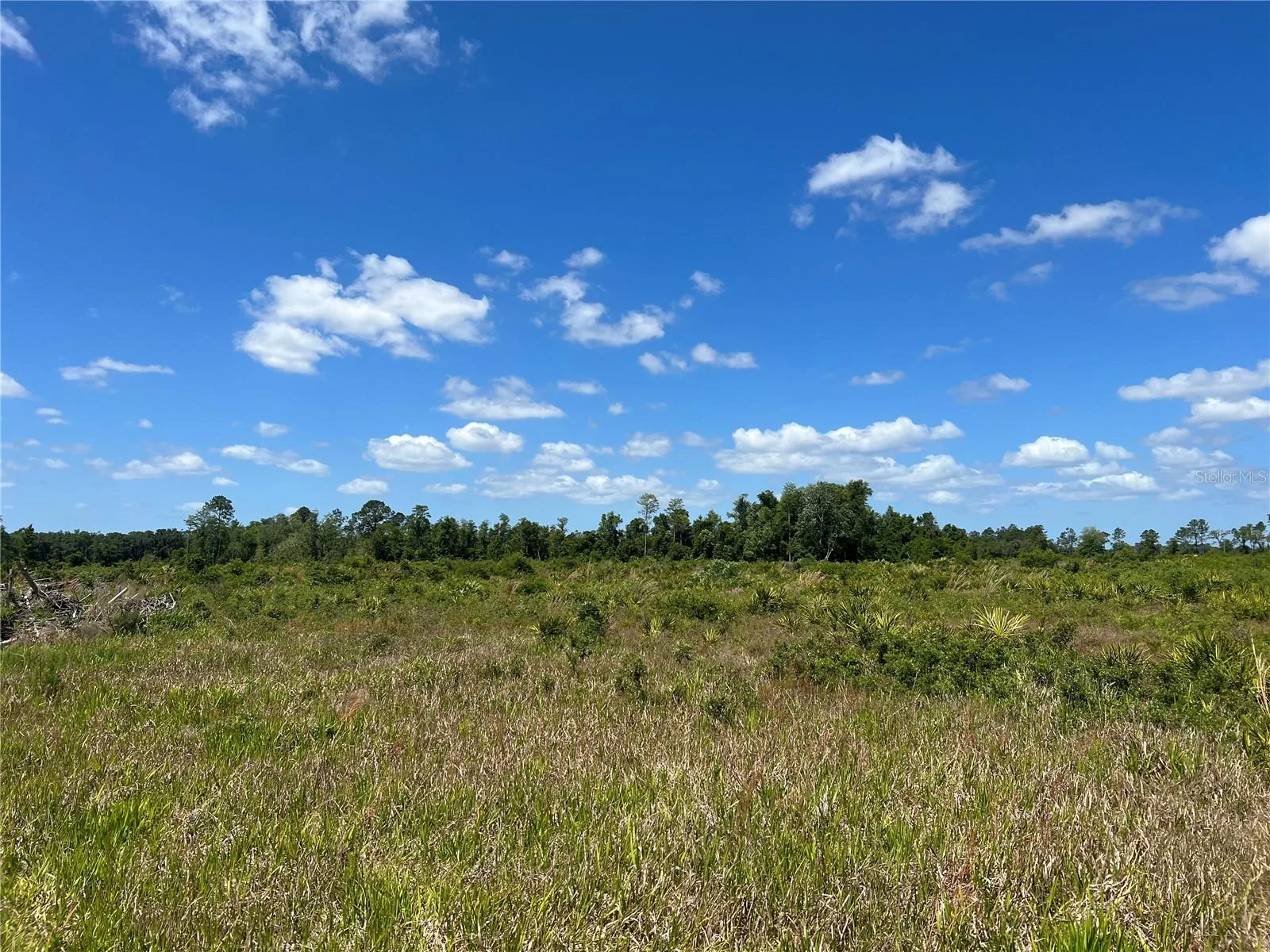 HWY 40, DUNNELLON, FL — photo 3