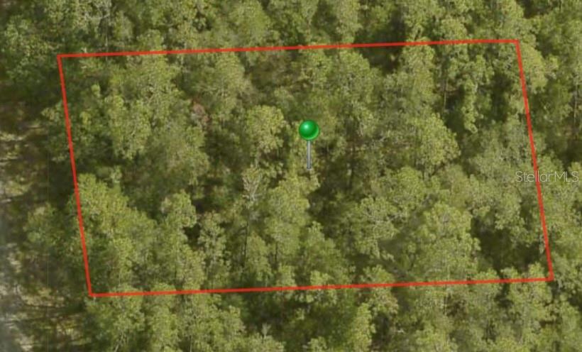 8759 N SAWYER TER, DUNNELLON, FL — photo 2