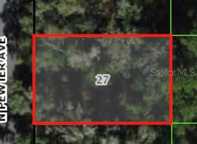 9471 N PEWTER AVE, DUNNELLON, FL