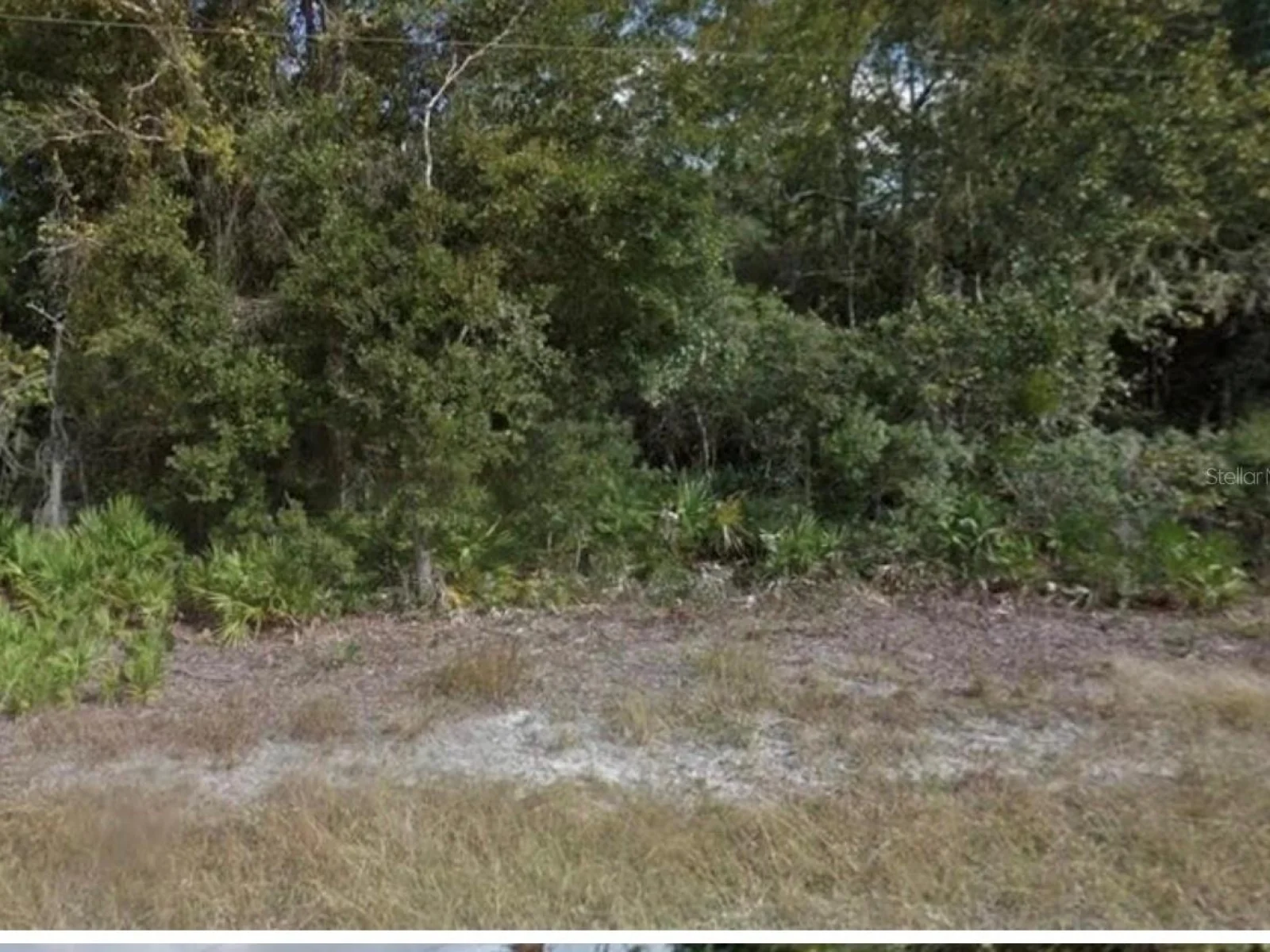 0 MITCHELL AVE, MIMS, FL — photo 3