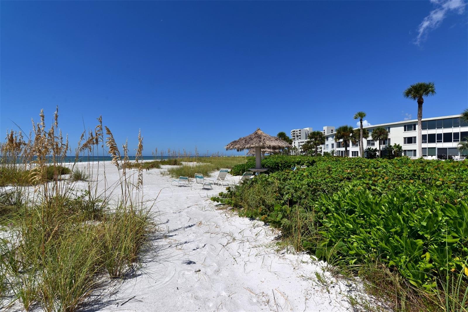 100 SANDS POINT RD #324, LONGBOAT KEY, FL — photo 38