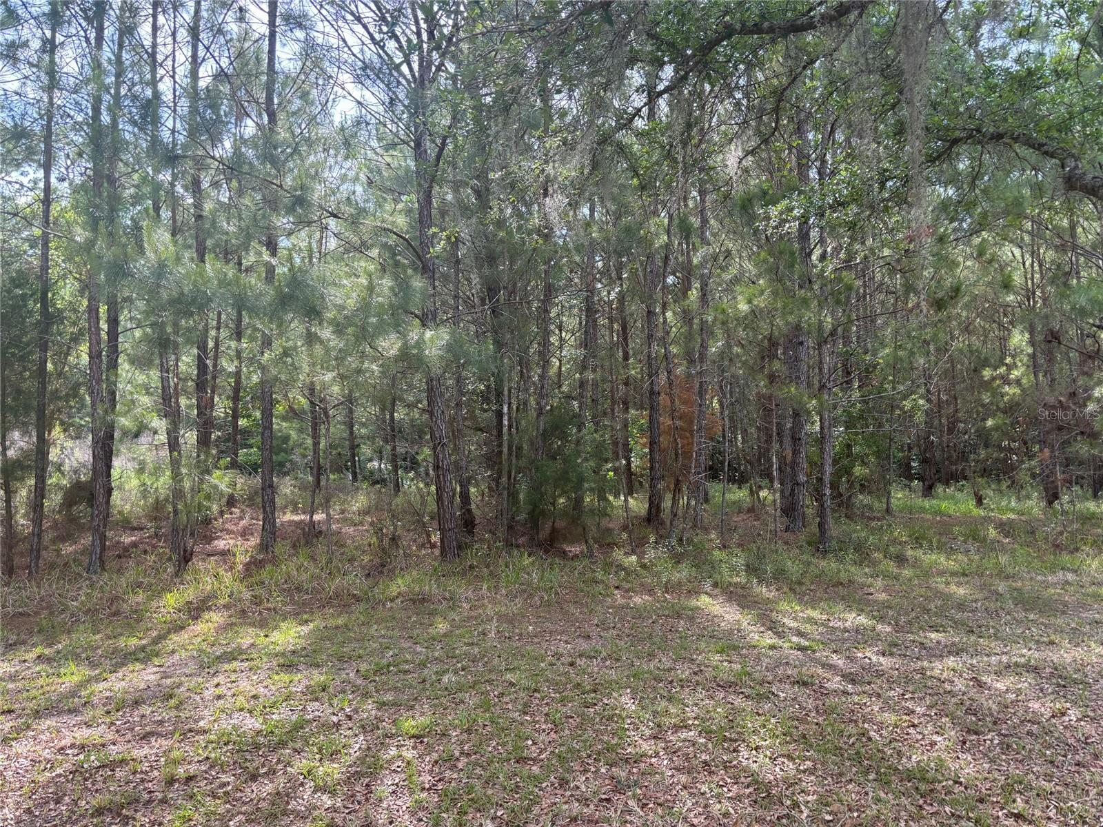 8845 NW 58TH LN, GAINESVILLE, FL — photo 3
