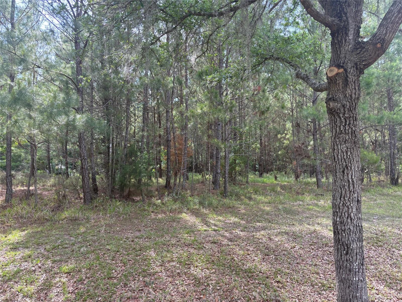 8845 NW 58TH LN, GAINESVILLE, FL — photo 4