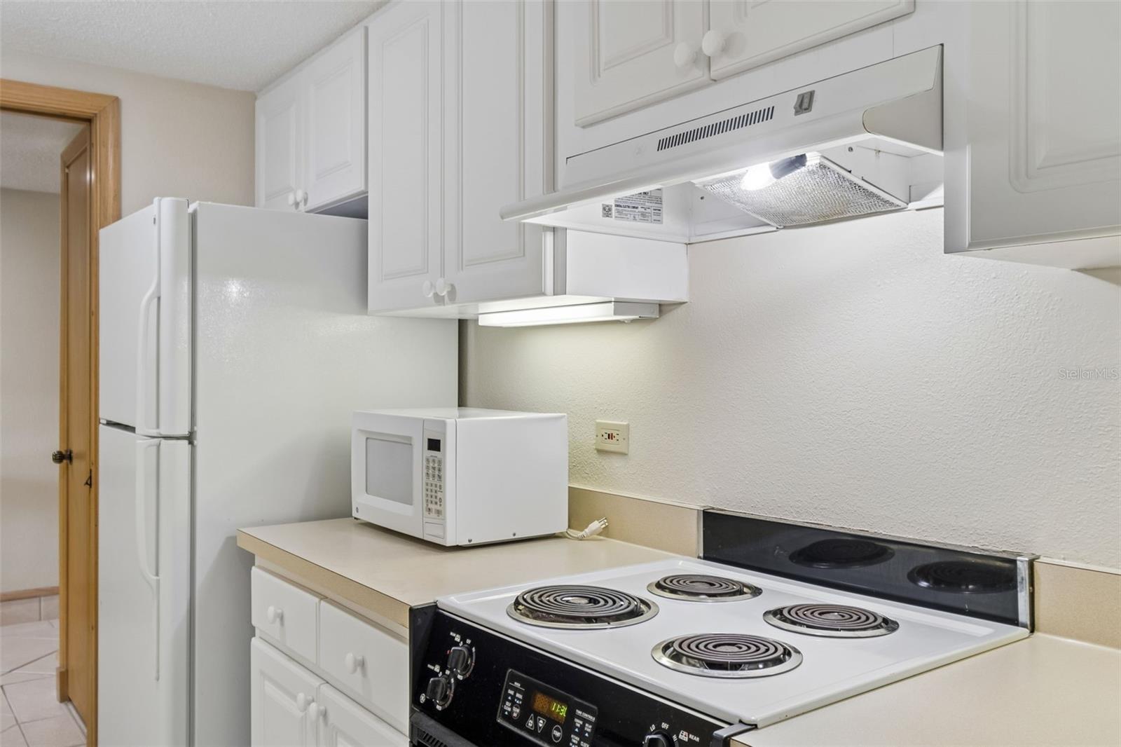 36750 US HIGHWAY 19 N #22208, PALM HARBOR, FL — photo 9
