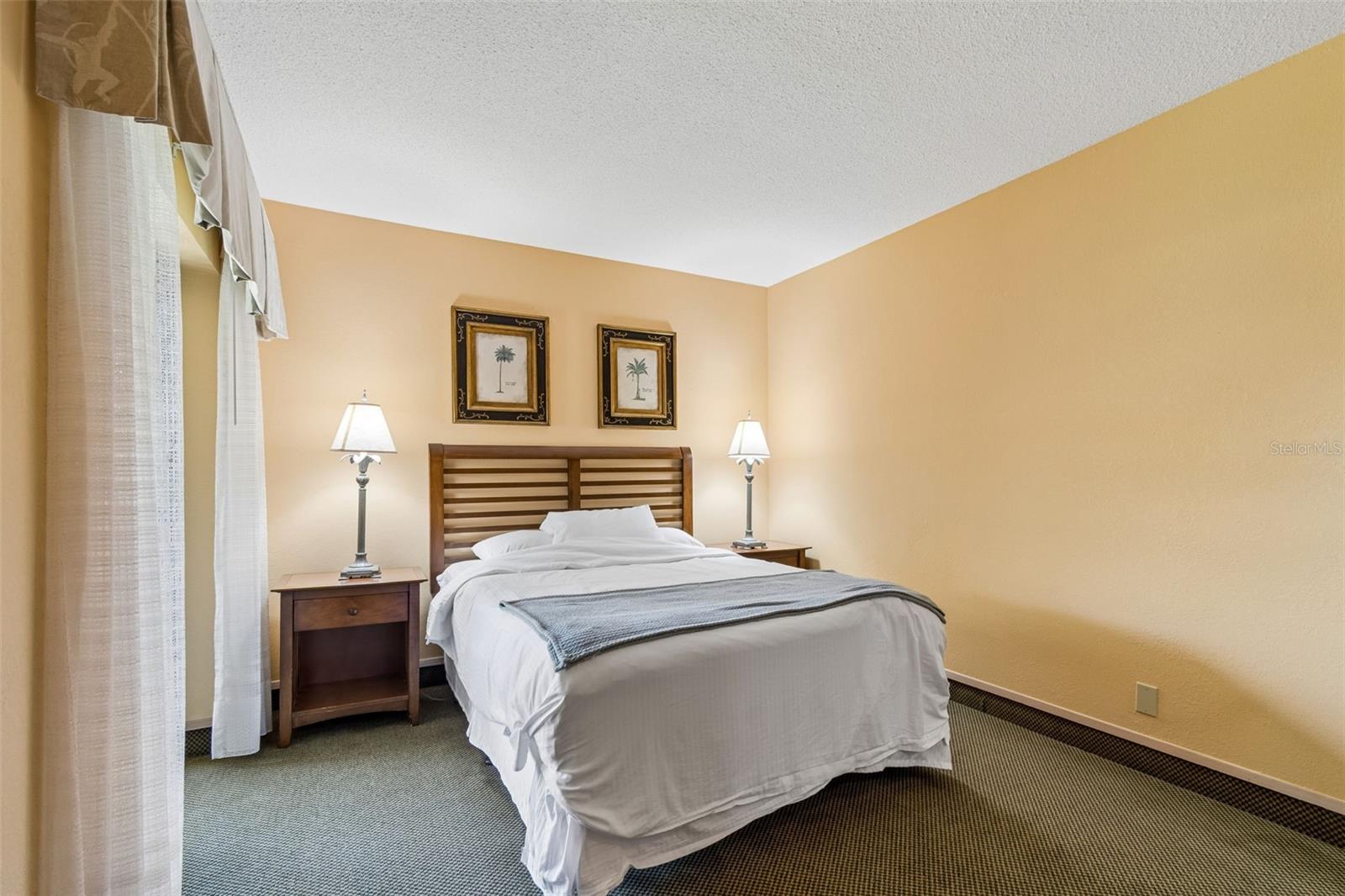 36750 US HIGHWAY 19 N #22208, PALM HARBOR, FL — photo 28