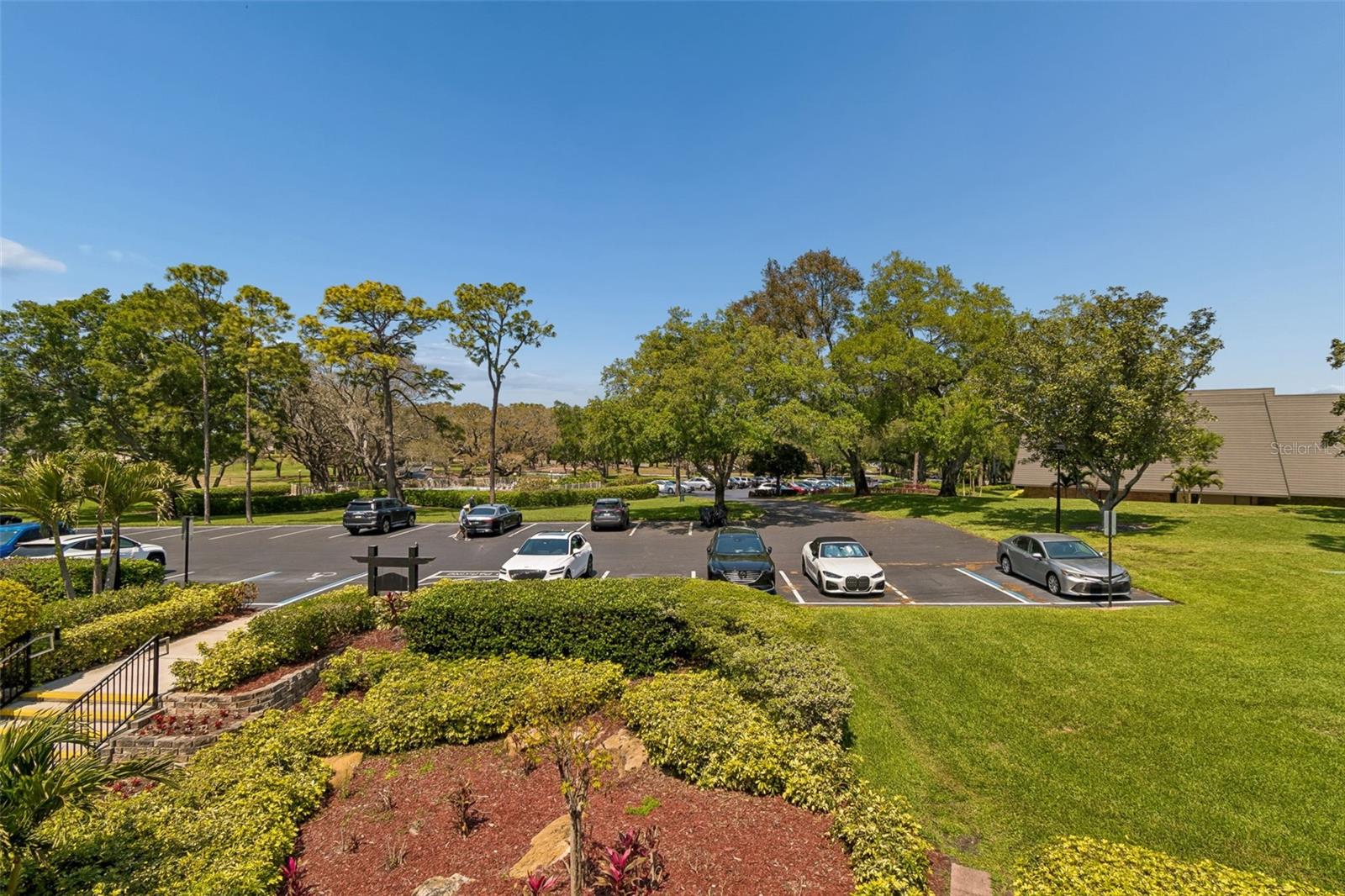36750 US HIGHWAY 19 N #22208, PALM HARBOR, FL — photo 44