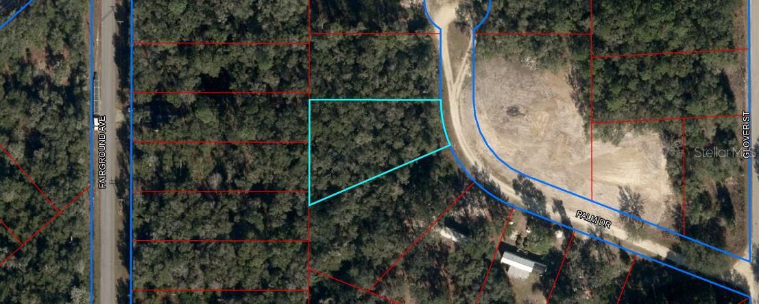 145 PALM DR, BRONSON, FL