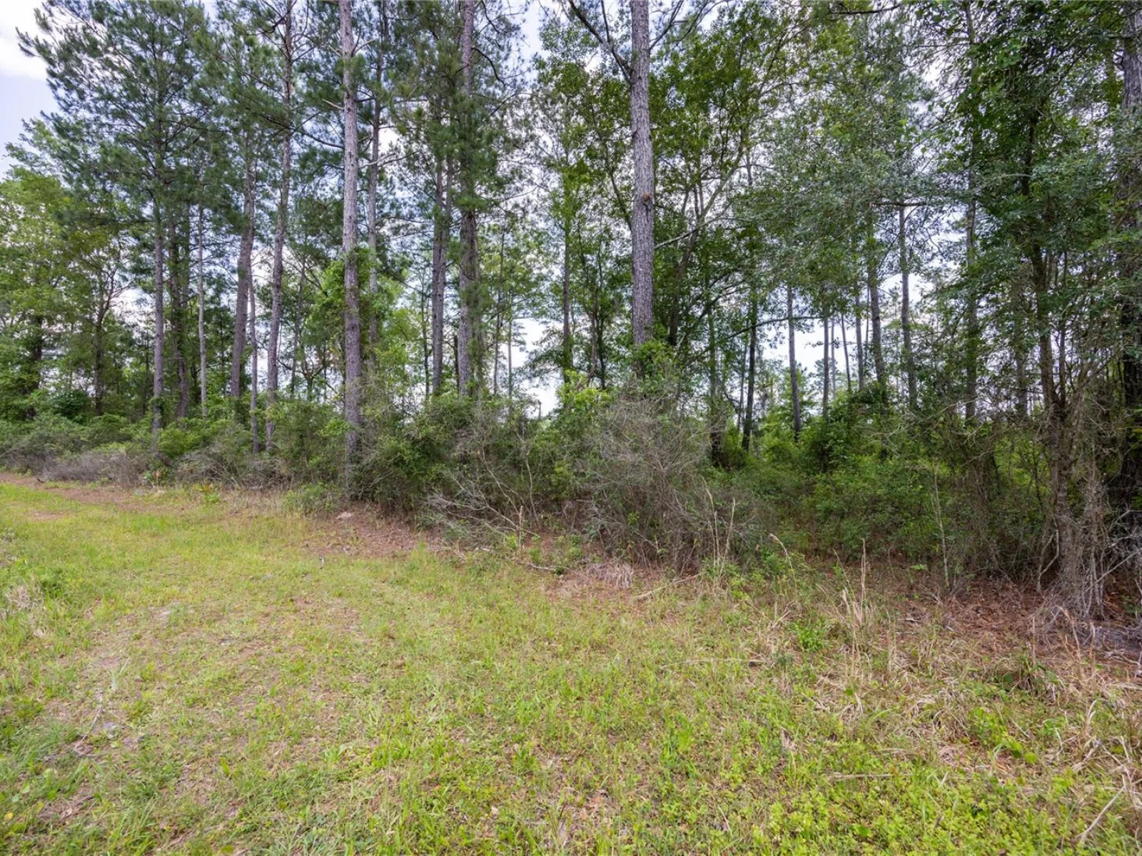 0 COUNTY ROAD 225, WALDO, FL — photo 2