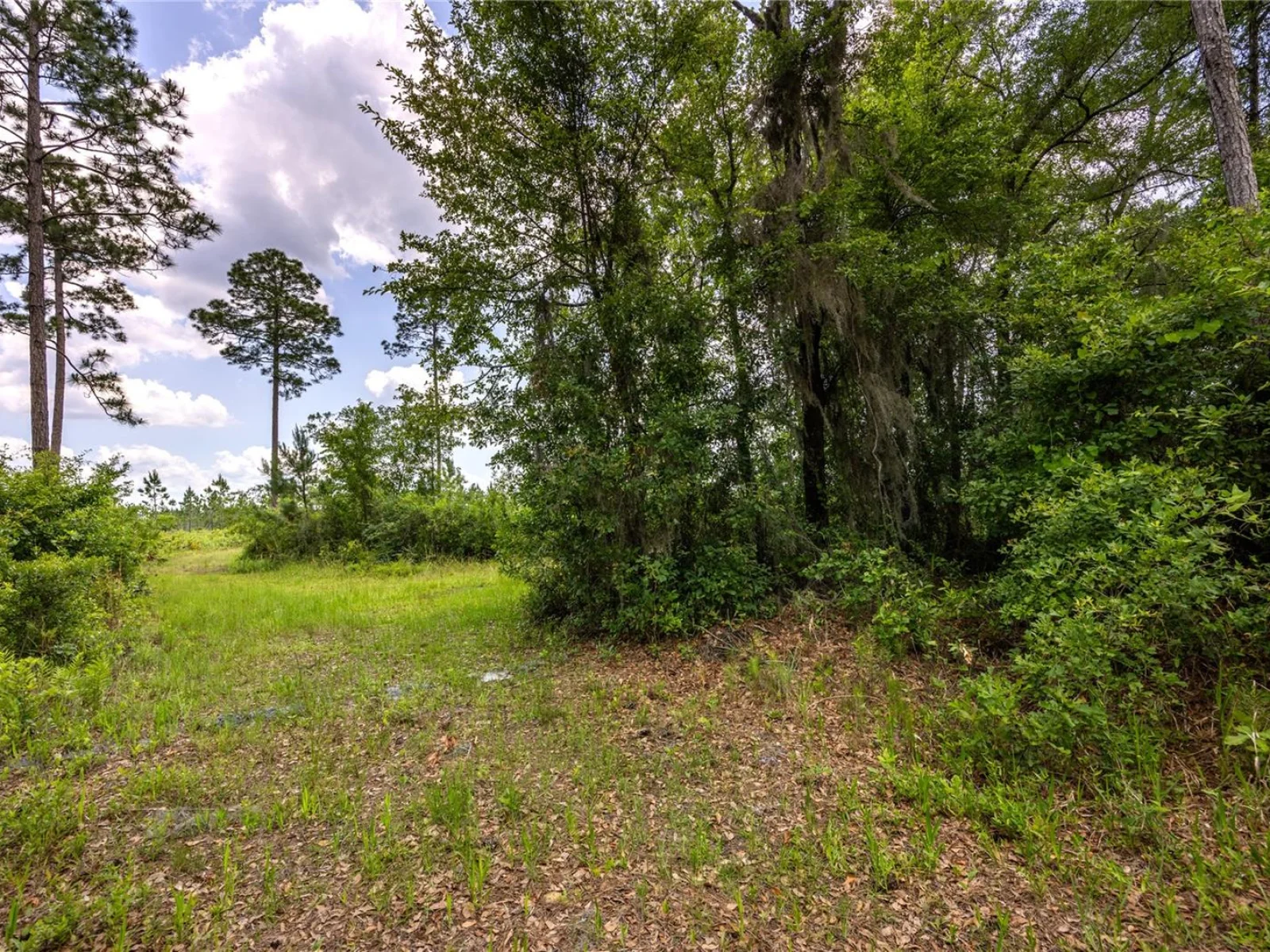 0 COUNTY ROAD 225, WALDO, FL — photo 4