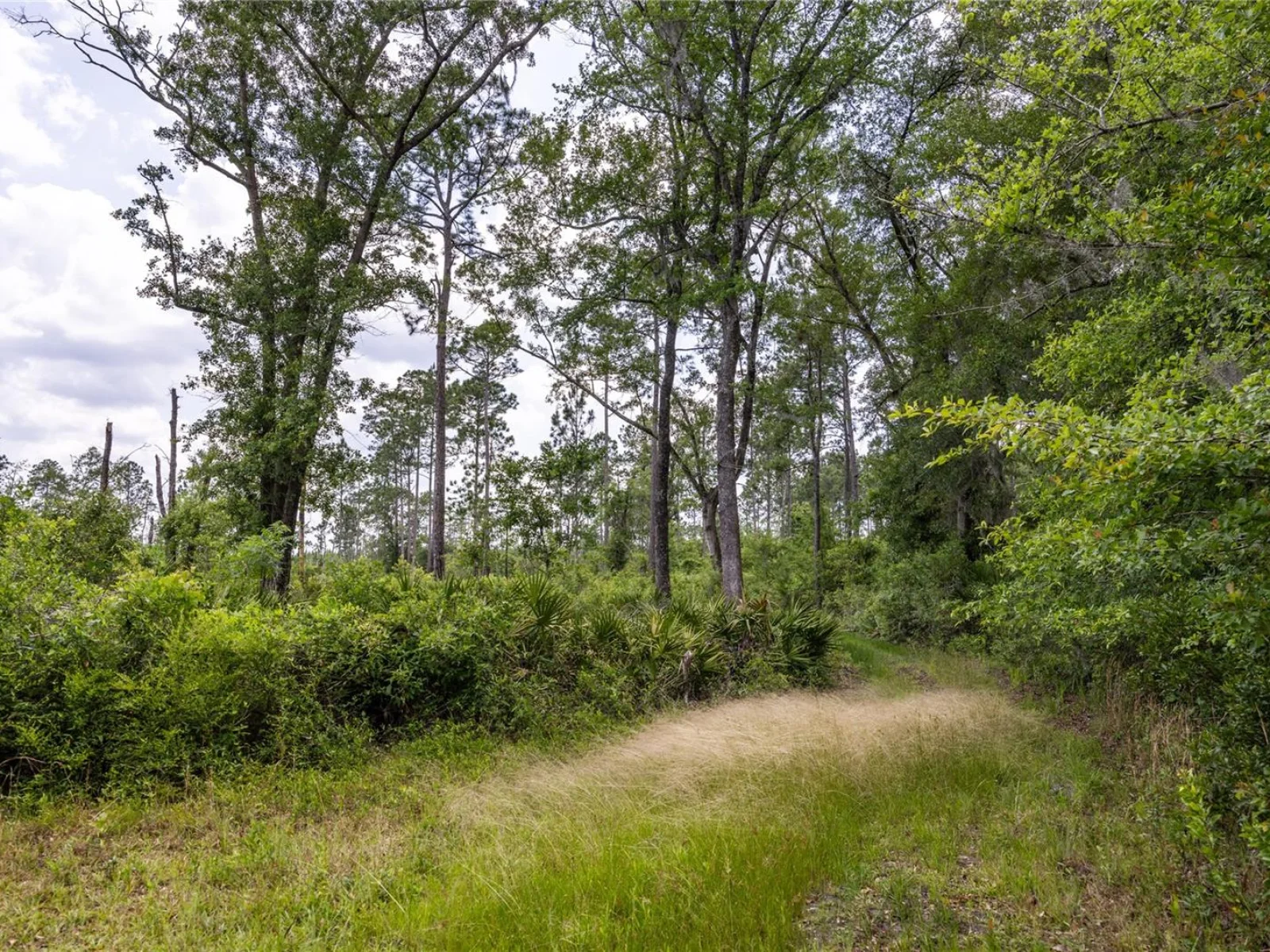 0 COUNTY ROAD 225, WALDO, FL — photo 5