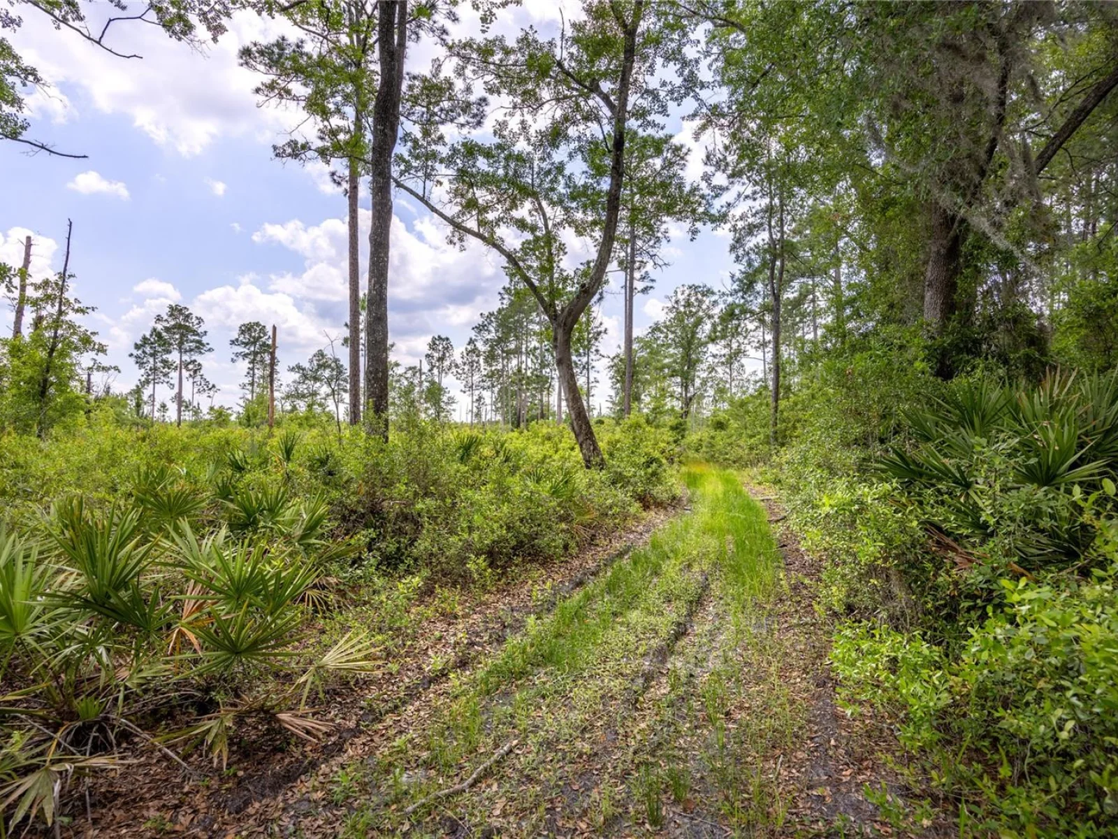 0 COUNTY ROAD 225, WALDO, FL — photo 6