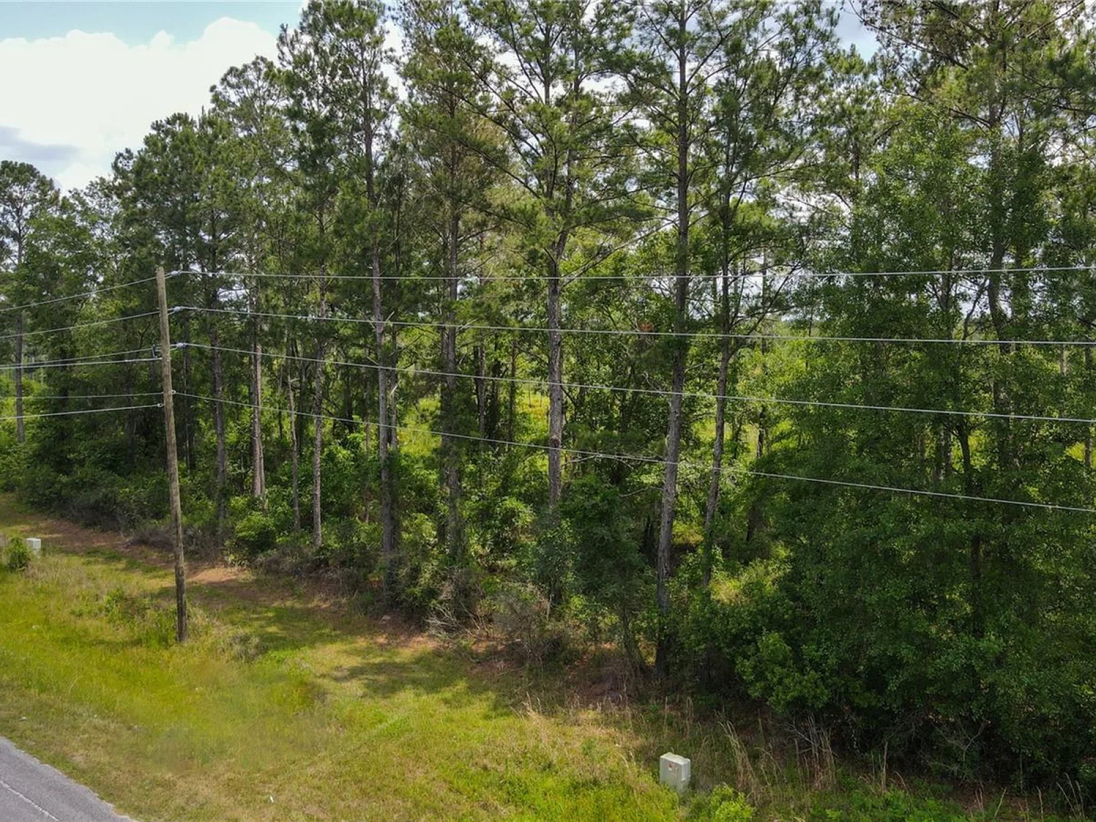 0 COUNTY ROAD 225, WALDO, FL — photo 11