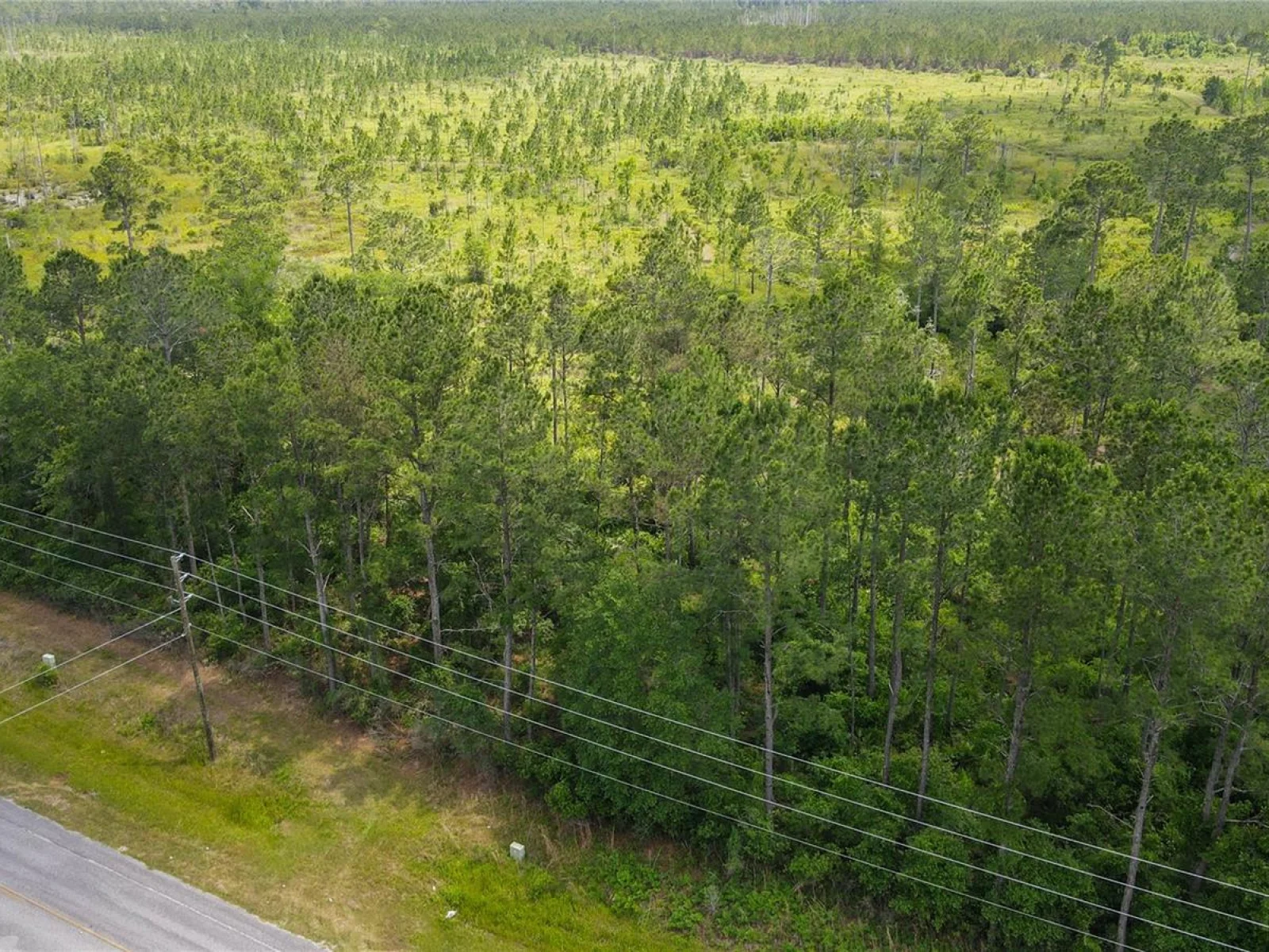 0 COUNTY ROAD 225, WALDO, FL — photo 12