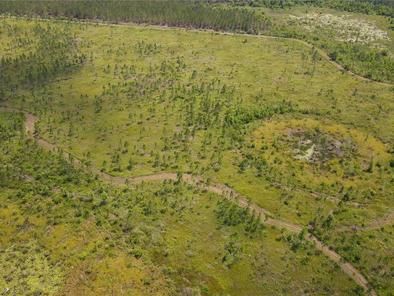 0 COUNTY ROAD 225, WALDO, FL — photo 16