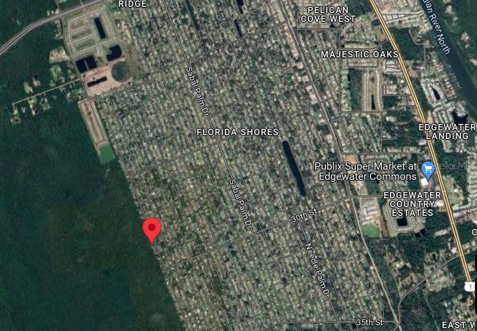 SILVER PALM DR, EDGEWATER, FL — photo 3