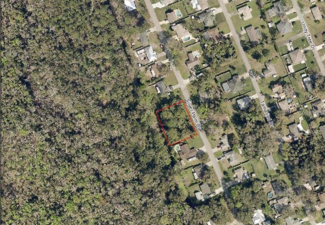 SILVER PALM DR, EDGEWATER, FL — photo 4