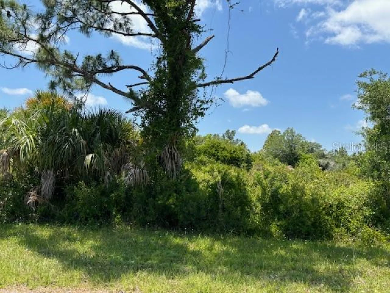 2357 REMAGEN ST, PORT CHARLOTTE, FL — photo 1