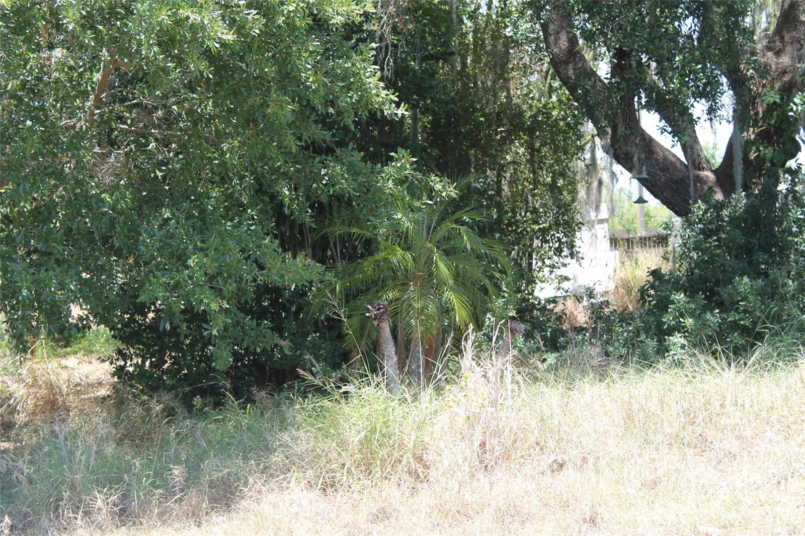 0 SUNSET TRL, BABSON PARK, FL — photo 2