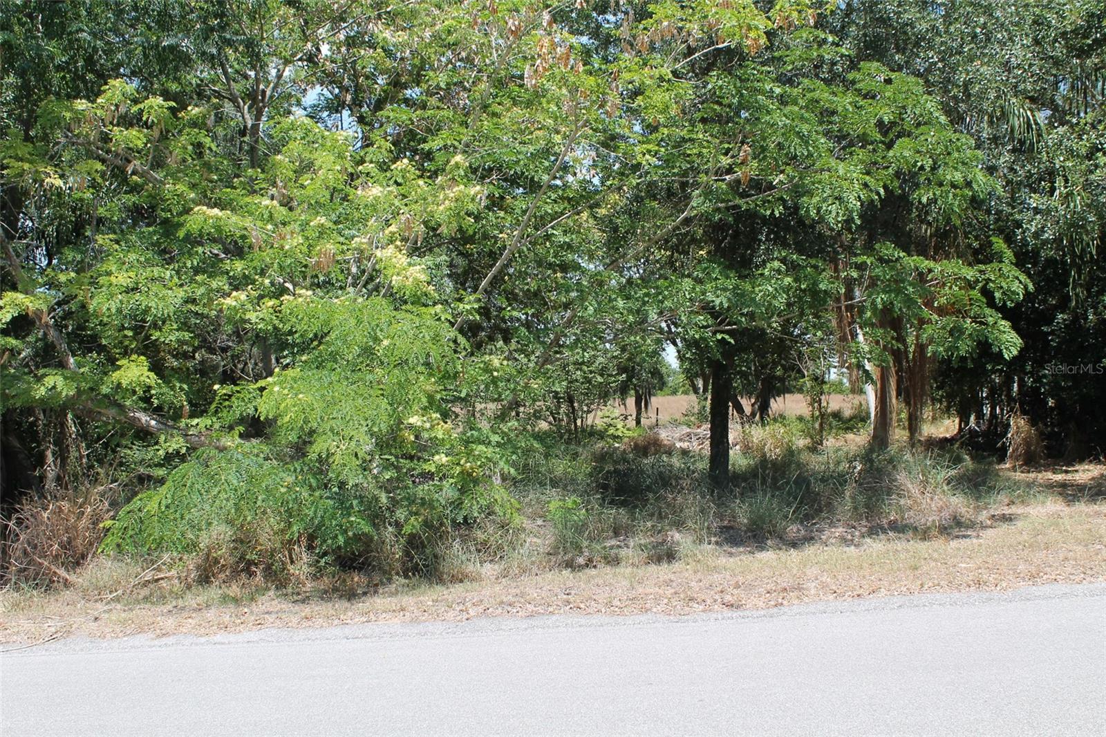 0 SUNSET TRL, BABSON PARK, FL — photo 15